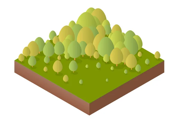 Nature forest landscape of isometric — Stock Vector