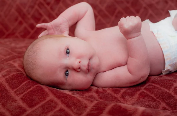 Portrait Cute Caucasian Newborn Baby Boy Age Weeks Old — Stock Photo, Image