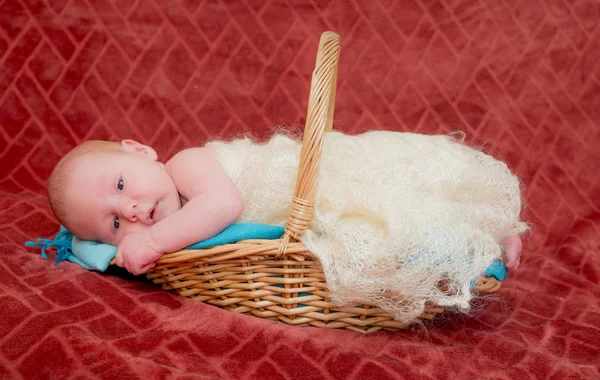 Портрет Милого Белого Новорожденного Мальчика Лежащего Корзине Возраст Недели — стоковое фото