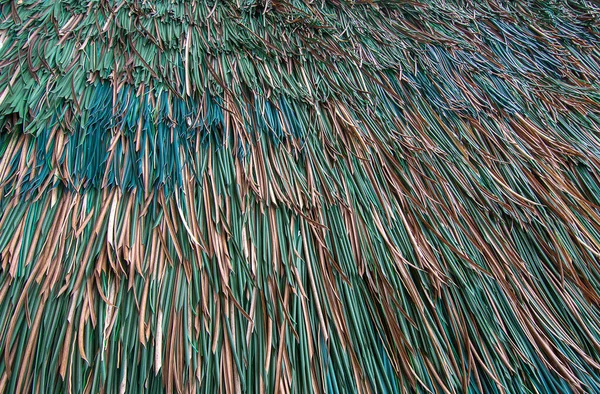 Hermoso Decorativo Artificial Para Fondo Hoja Hierba Falsa — Foto de Stock