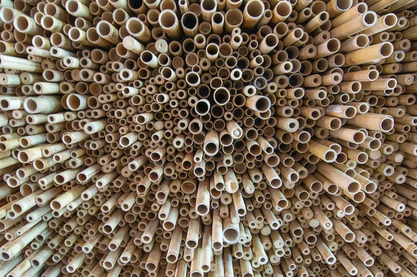 Bambú Que Cuelga Del Techo Tiene Intención Del Techo Normal — Foto de Stock