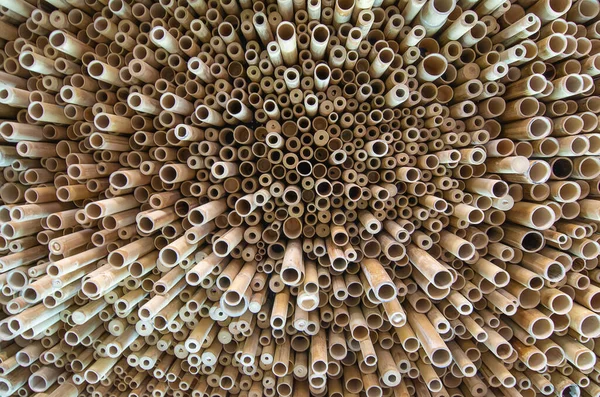 Hermoso Bambú Colgando Del Techo Pretenden Techo Normal Decoración Diseño — Foto de Stock
