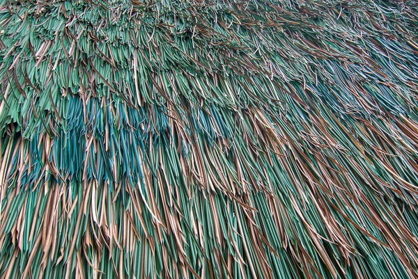 Hermoso Decorativo Artificial Para Fondo Hoja Hierba Falsa — Foto de Stock