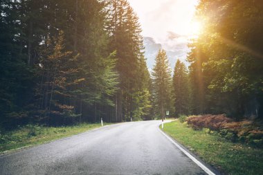 Ağaçlar, orman ve dağlar arka planlar ile güzel dağ yolu. Devlet karayolu yolu Dolomites Dağı İtalya'nın alınan.