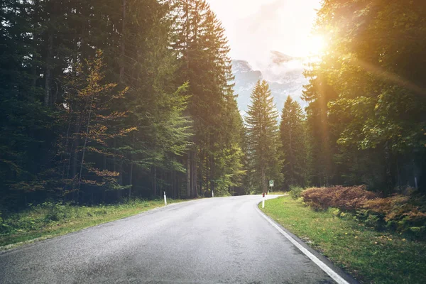 Ağaçlar, orman ve dağlar arka planlar ile güzel dağ yolu. Devlet karayolu yolu Dolomites Dağı İtalya'nın alınan.
