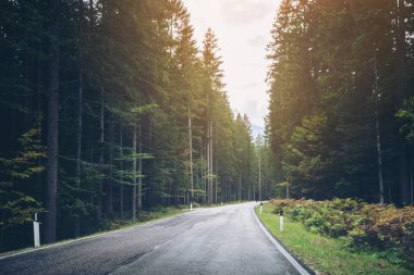 Ağaçlar, orman ve dağlar arka planlar ile güzel dağ yolu. Devlet karayolu yolu Dolomites Dağı İtalya'nın alınan.