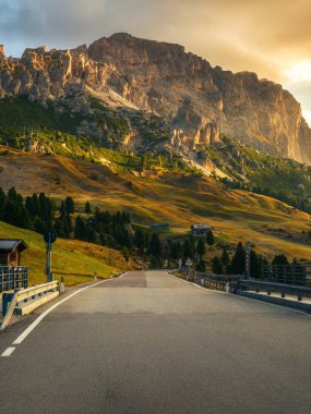 Ağaçlar, orman ve dağlar arka planlar ile güzel dağ yolu. Passo Gardena Dolomites dağ İtalya devlet karayolu yol alındığı.