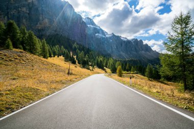 Ağaçlar, orman ve dağlar arka planlar ile güzel dağ yolu. Devlet karayolu yolu Passo Gardena, Sella dağ grup Dolomites dağ İtalya alınan.