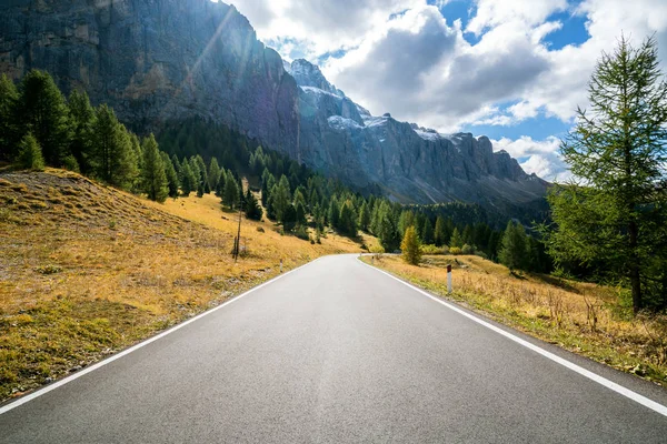 美丽的山路与树木 森林和山脉的背景 在帕苏丰杜加迪纳的州公路公路上 位于意大利白云岩山的蝶鞍山群中 — 图库照片