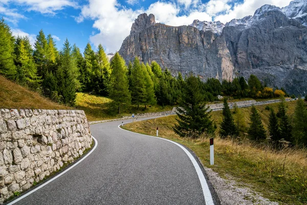 美丽的山路与树木 森林和山脉的背景 在帕苏丰杜加迪纳的州公路公路上 位于意大利白云岩山的蝶鞍山群中 — 图库照片