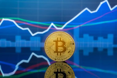 Bitcoin ve kavram - yatırım cryptocurrency fiziksel metal Bitcoin paralar ile küresel ticaret Döviz piyasa fiyatı grafiği içinde belgili tanımlık geçmiş.