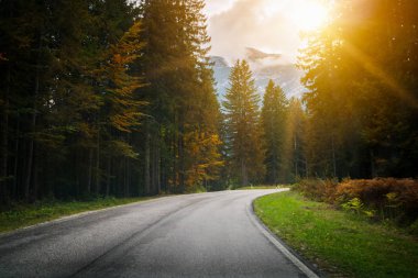 Ağaçlar, orman ve dağlar arka planlar ile güzel dağ yolu. Devlet karayolu yolu Dolomites Dağı İtalya'nın alınan.