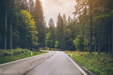 Ağaçlar, orman ve dağlar arka planlar ile güzel dağ yolu. Devlet karayolu yolu Dolomites Dağı İtalya'nın alınan.