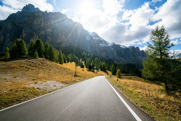 Hermoso Camino Montaña Con Árboles Bosques Montañas Los Fondos Tomado — Foto de Stock