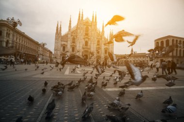 Duomo di Milano (Milan Katedrali) Milan, İtalya. Milano Katedrali'ne en büyük kilisenin İtalya ve dünyanın üçüncü büyük olduğunu. Milan, İtalya'nın ünlü turistik cazibe olduğunu.