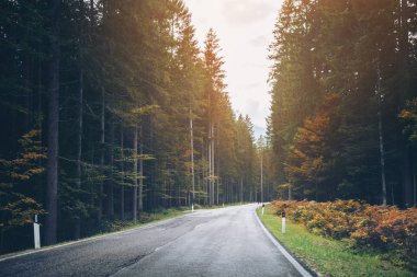 Ağaçlar, orman ve dağlar arka planlar ile güzel dağ yolu. Devlet karayolu yolu Dolomites Dağı İtalya'nın alınan.