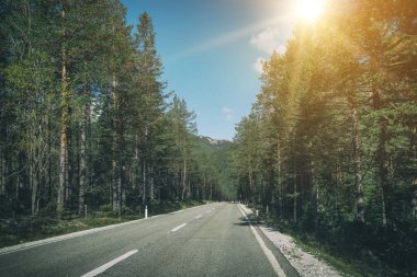 Ağaçlar, orman ve dağlar arka planlar ile güzel dağ yolu. Devlet karayolu yolu Dolomites Dağı İtalya'nın alınan.