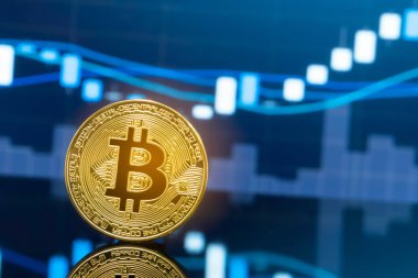 Bitcoin ve kavram - yatırım cryptocurrency fiziksel metal Bitcoin paralar ile küresel ticaret Döviz piyasa fiyatı grafiği içinde belgili tanımlık geçmiş.