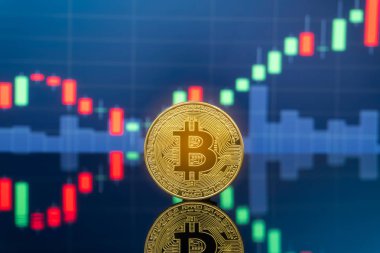 Bitcoin ve kavram - yatırım cryptocurrency fiziksel metal Bitcoin paralar ile küresel ticaret Döviz piyasa fiyatı grafiği içinde belgili tanımlık geçmiş.