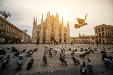 Duomo di Milano (Milan Katedrali) Milan, İtalya. Milano Katedrali'ne en büyük kilisenin İtalya ve dünyanın üçüncü büyük olduğunu. Milan, İtalya'nın ünlü turistik cazibe olduğunu.
