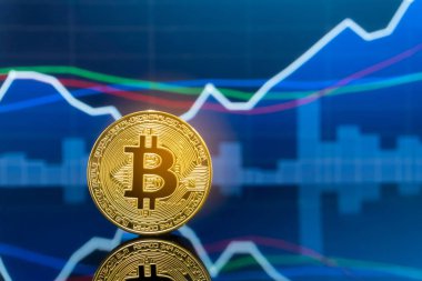 Bitcoin ve kavram - yatırım cryptocurrency fiziksel metal Bitcoin paralar ile küresel ticaret Döviz piyasa fiyatı grafiği içinde belgili tanımlık geçmiş.