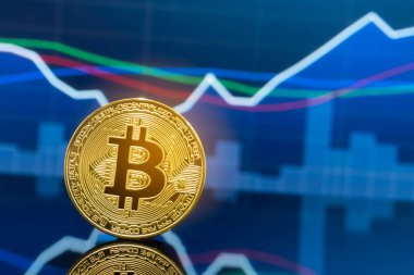 Bitcoin ve kavram - yatırım cryptocurrency fiziksel metal Bitcoin paralar ile küresel ticaret Döviz piyasa fiyatı grafiği içinde belgili tanımlık geçmiş.