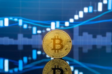Bitcoin ve kavram - yatırım cryptocurrency fiziksel metal Bitcoin paralar ile küresel ticaret Döviz piyasa fiyatı grafiği içinde belgili tanımlık geçmiş.