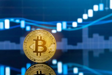 Bitcoin ve kavram - yatırım cryptocurrency fiziksel metal Bitcoin paralar ile küresel ticaret Döviz piyasa fiyatı grafiği içinde belgili tanımlık geçmiş.