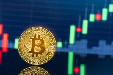 Bitcoin ve kavram - yatırım cryptocurrency fiziksel metal Bitcoin paralar ile küresel ticaret Döviz piyasa fiyatı grafiği içinde belgili tanımlık geçmiş.