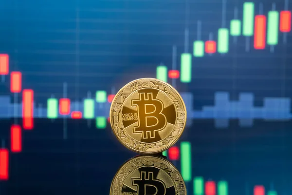 Bitcoin Criptomoeda Investindo Conceito Moedas Metal Físico Bitcoin Com Gráfico — Fotografia de Stock