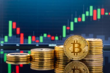 Bitcoin ve kavram - yatırım cryptocurrency fiziksel metal Bitcoin paralar ile küresel ticaret Döviz piyasa fiyatı grafiği içinde belgili tanımlık geçmiş.