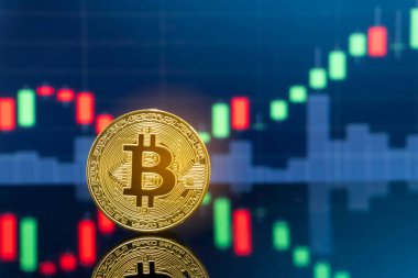 Bitcoin ve kavram - yatırım cryptocurrency fiziksel metal Bitcoin paralar ile küresel ticaret Döviz piyasa fiyatı grafiği içinde belgili tanımlık geçmiş.