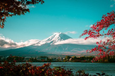 Fuji Dağı, Japonya - Vintage sonbahar Gölü Kawaguchiko Japonya akçaağaç yaprakları değişen renk görüntü bu Fuji Dağı çerçeveleme yaprakları toplayan Fuji Dağı'nın tadını çıkarmak için en iyi yerlerden biri.