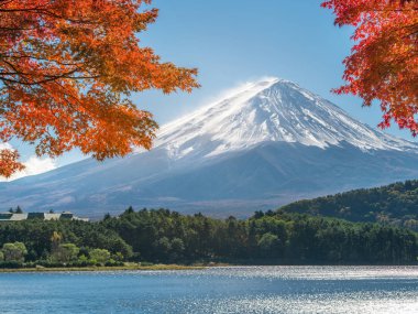 Japonya 'nın Fuji Dağı' ndaki renkli sonbahar - Kawaguchiko Gölü Fuji Dağı 'nın akçaağaç yapraklarından oluşan Fuji Dağı manzarasının tadını çıkarmak için en iyi yerlerden biridir..
