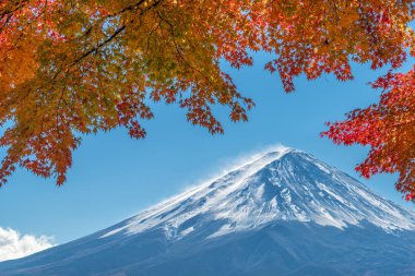 Japonya 'nın Fuji Dağı' ndaki renkli sonbahar - Kawaguchiko Gölü Fuji Dağı 'nın akçaağaç yapraklarından oluşan Fuji Dağı manzarasının tadını çıkarmak için en iyi yerlerden biridir..