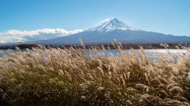 Sonbahar Fuji Dağı, Japonya - göl Kawaguchiko Fuji Dağı manzaranın tadını Japonya'da en iyi yerlerden biri .