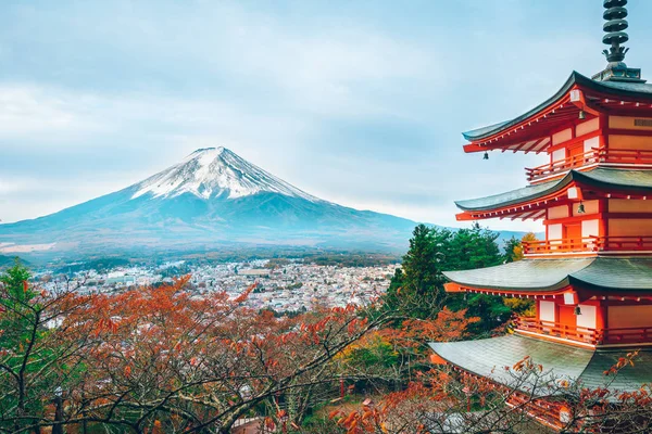 후지산과가을 Arakura 유명한 보기의 전경에서 후지산을 — 스톡 사진
