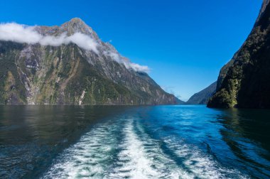 Feribot cruise Milford ses, South Island, Yeni Zelanda.