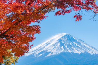 Japonya 'nın Fuji Dağı' ndaki renkli sonbahar - Kawaguchiko Gölü Fuji Dağı 'nın akçaağaç yapraklarından oluşan Fuji Dağı manzarasının tadını çıkarmak için en iyi yerlerden biridir..