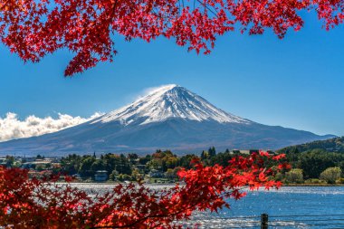 Japonya 'nın Fuji Dağı' ndaki renkli sonbahar - Kawaguchiko Gölü Fuji Dağı 'nın akçaağaç yapraklarından oluşan Fuji Dağı manzarasının tadını çıkarmak için en iyi yerlerden biridir..