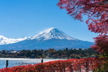 Japonya 'nın Fuji Dağı' ndaki renkli sonbahar - Kawaguchiko Gölü Fuji Dağı 'nın akçaağaç yapraklarından oluşan Fuji Dağı manzarasının tadını çıkarmak için en iyi yerlerden biridir..