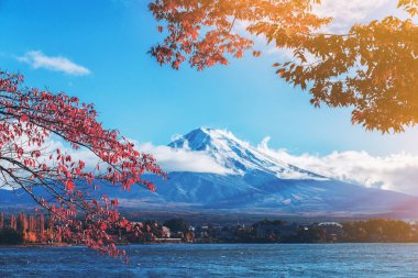 Japonya 'nın Fuji Dağı' ndaki renkli sonbahar - Kawaguchiko Gölü Fuji Dağı 'nın akçaağaç yapraklarından oluşan Fuji Dağı manzarasının tadını çıkarmak için en iyi yerlerden biridir..