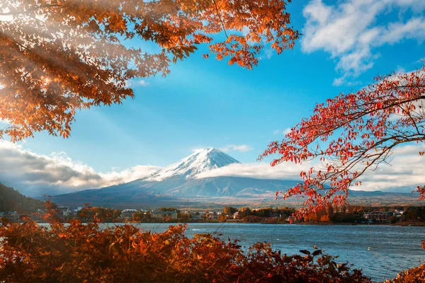 Japonya Nın Fuji Dağı Ndaki Renkli Sonbahar Kawaguchiko Gölü Fuji — Stok fotoğraf