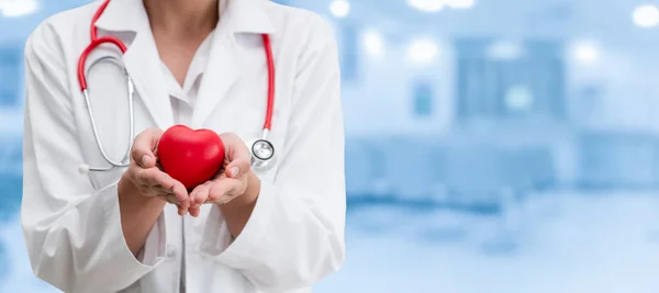 Doctor holding a red heart at hospital office. Medical health care and doctor staff service concept.