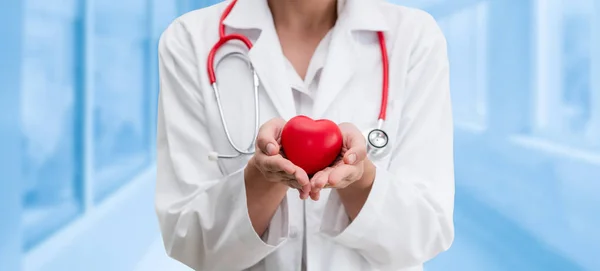 医生在医院办公室拿着一颗红色的心脏 医疗保健和医生工作人员服务概念 — 图库照片