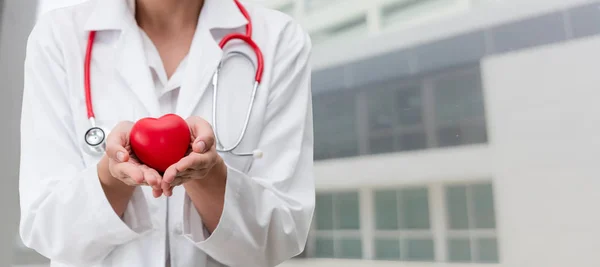 医生在医院办公室拿着一颗红色的心脏 医疗保健和医生工作人员服务概念 — 图库照片