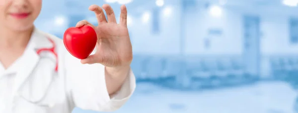 Doctor Holding Red Heart Hospital Office Medical Health Care Doctor — Stock Photo, Image