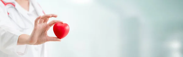 Doctor Holding Red Heart Hospital Office Medical Health Care Doctor — Stock Photo, Image