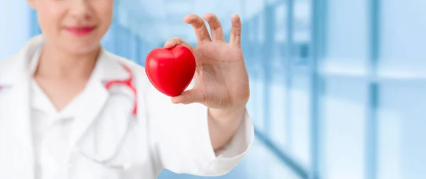 Doctor Holding Red Heart Hospital Office Medical Health Care Doctor — Stock Photo, Image