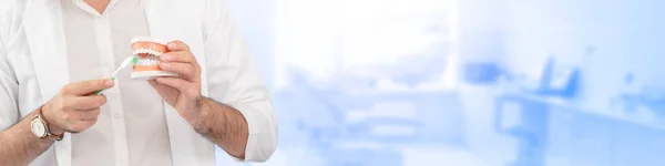 Young Male Dentist Showing Toothbrush Denture Dental Clinic Selective Focus — Stock Photo, Image